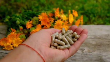 Calendula tentürü ve takviyeler. Seçici odaklanma. Doğa.