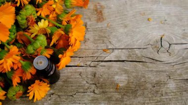 Calendula tentürü ve takviyeler. Seçici odaklanma. Doğa.