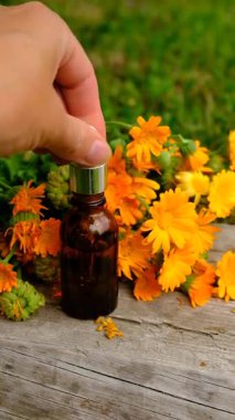 Calendula tentürü ve takviyeler. Seçici odaklanma. Doğa.