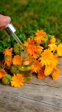 Calendula tentürü ve takviyeler. Seçici odaklanma. Doğa.