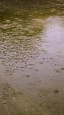 Su birikintilerine damlayan yağmur damlaları. Seçici odaklanma. Doğa.