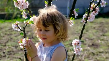 Child in a blooming garden in spring. Selective focus. Kid.