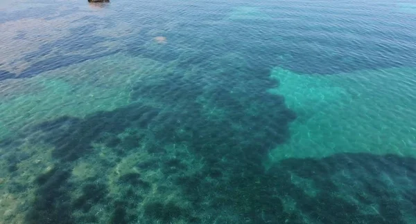 Here in the image we see a very beautiful sea with a transparent bottom in the ocean.