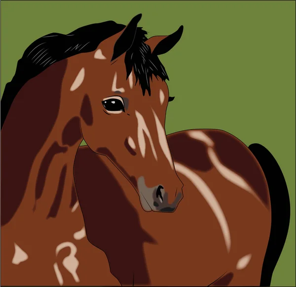 Tråkig Häst Grön Bakgrund Vektorillustration — Stock vektor
