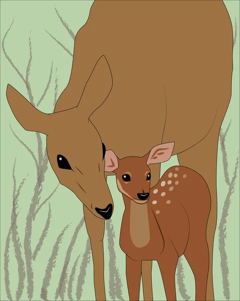 Cerf Femelle Avec Cerf Fauve Illustration Vectorielle — Image vectorielle