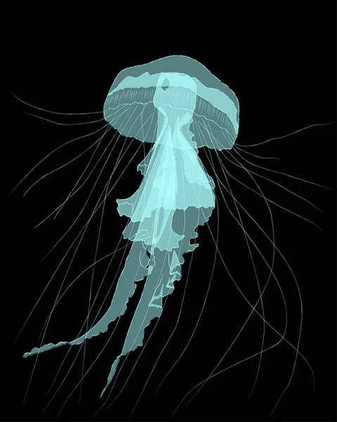 Blue Jellyfish Black Background Vector Illustration — Stock Vector