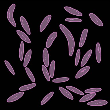 Bacteroidetes grup siyah arka plan, vektör çizim üzerinde