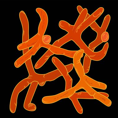 Actinobacterias grup siyah arka plan, vektör çizim üzerinde