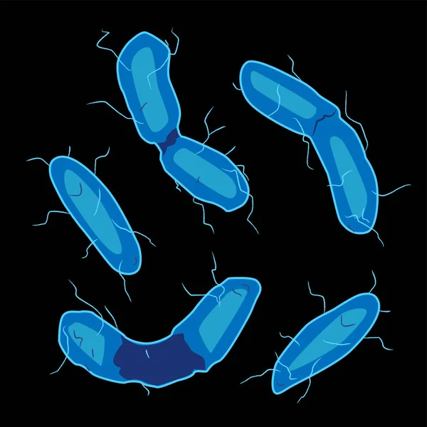 黒の背景 ベクトル図に Aquificales バクテリアのグループ — ストックベクタ