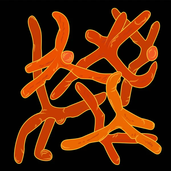 Actinobacterias 组在黑色背景 向量例证 — 图库矢量图片