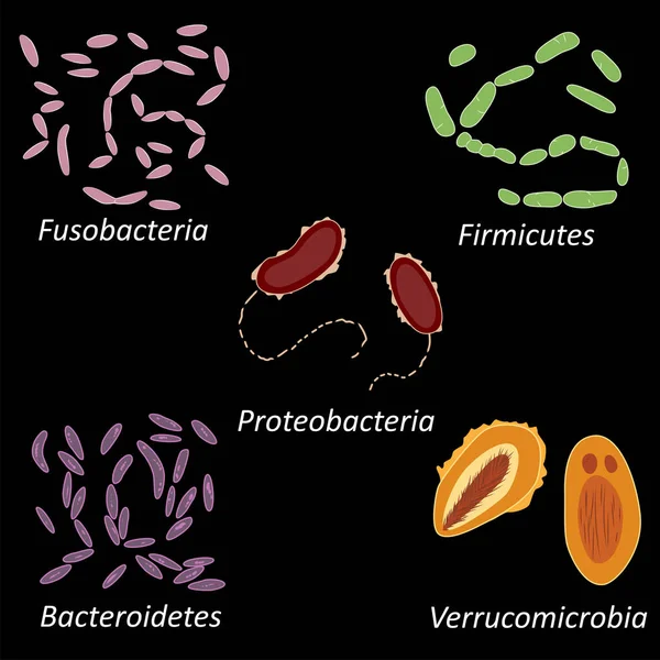 Conjunto Diferentes Tipos Bacterias Del Microbioma Humano Sobre Fondo Negro — Vector de stock