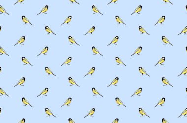 Büyük titmouses, mavi arka plan ile sorunsuz vektör desen