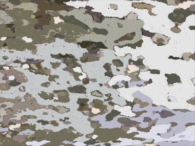 Akçaağaç kabuğu, vektör çizim ile arka plan