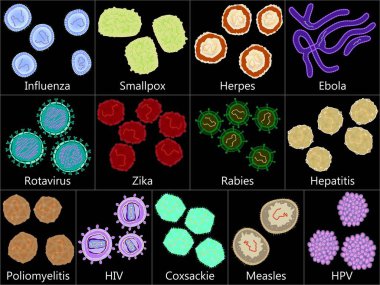 Set of  pathogenic viruses on dark background, vector illustration clipart