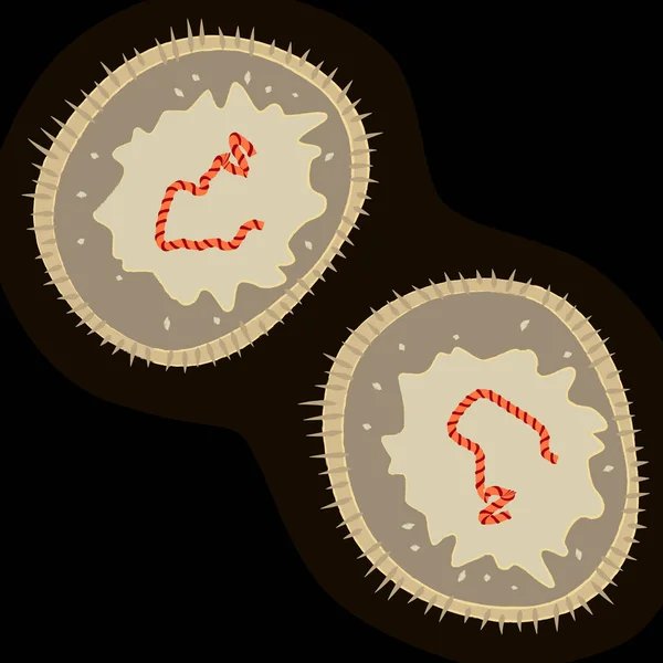 Kızamık Virüsü Koyu Arka Plan Vektör Çizim Üzerinde — Stok Vektör