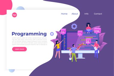 Yazılım Geliştirme, Programcı iş başında. Büyük veri işleme. V