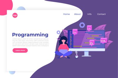 Yazılım Geliştirme, Programcı iş başında. Büyük veri işleme. V