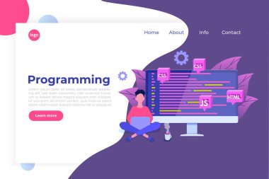 Yazılım Geliştirme, Programcı iş başında. Büyük veri işleme. V