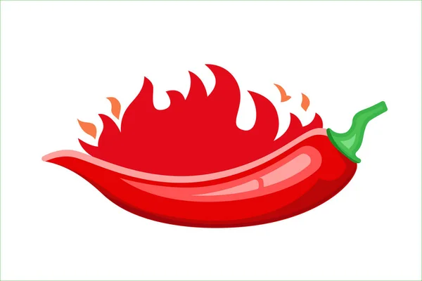 Hot Chilli Pepper Labels Burning Red Peppers Icon Vector Illustration Vector Graphics