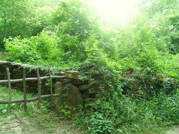 Italienische Ländliche Landschaft Sommergrün Grunge Holzzaun Und Niedrige Steinmauer Weicher — Stockfoto