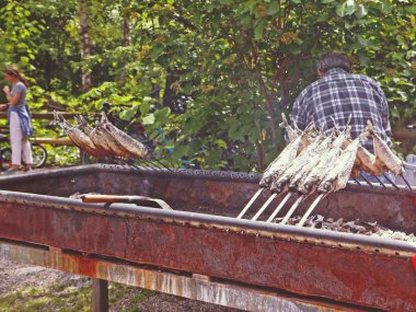 Bir rustik parti için yangın köz dışında ızgara mackerels