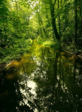 Isarauen Pastoral görünümü - Yukarı Bavyera Isar nehri boyunca korunan çevre, Almanya