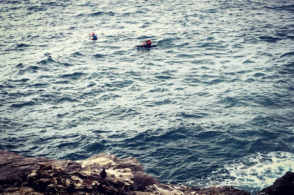 Dos Personas Kayak Reman Largo Costa Rocosa Del Mar Fotos de stock libres de derechos