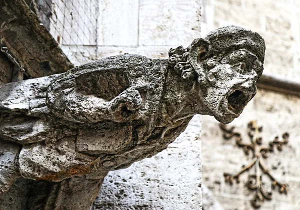 Een Water Uitloop Gargoyle Gevel Van Het Gebouw Van Neogotische — Stockfoto