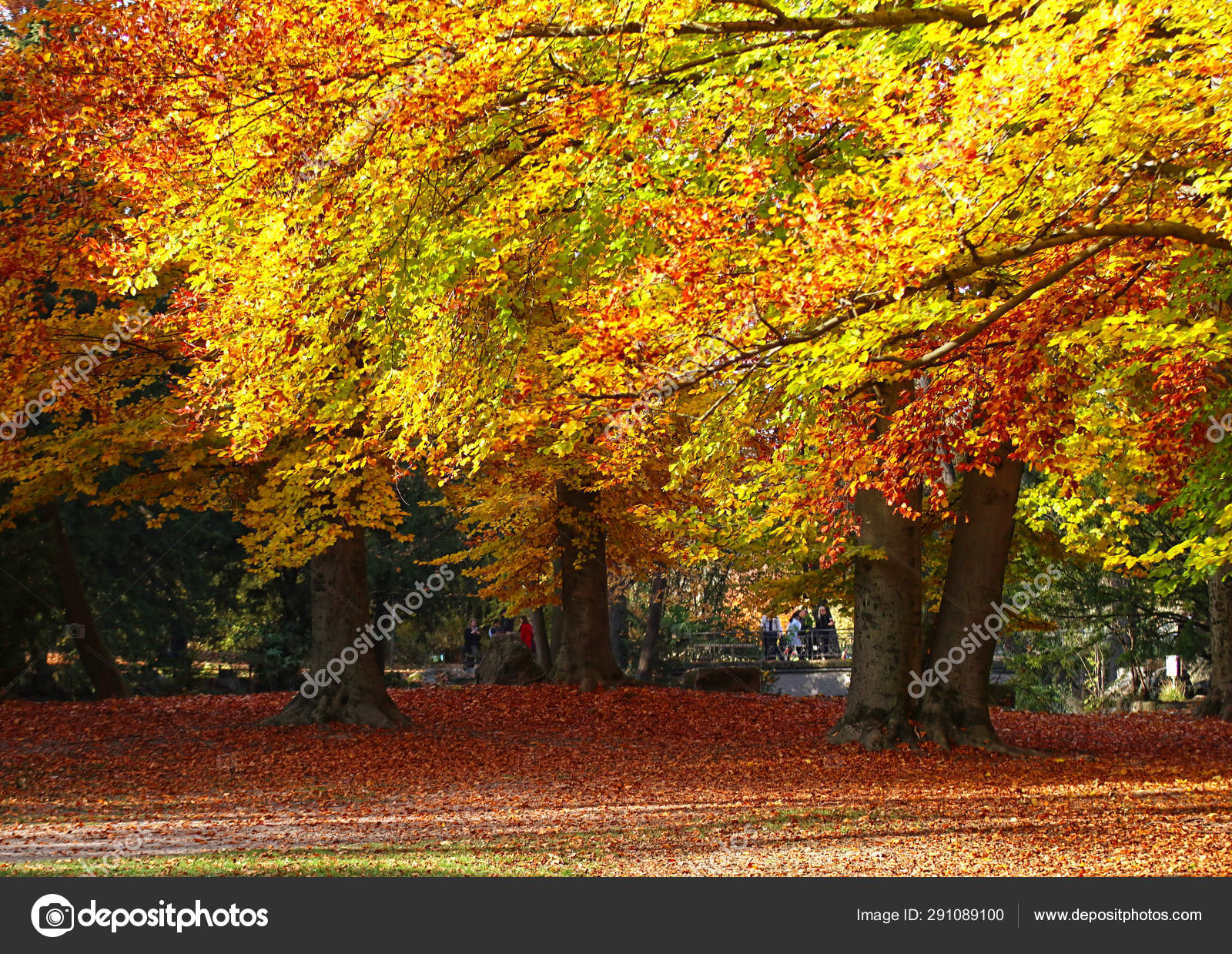Beautiful View Englischer Garten Munich Beautiful Autumnal Day Red