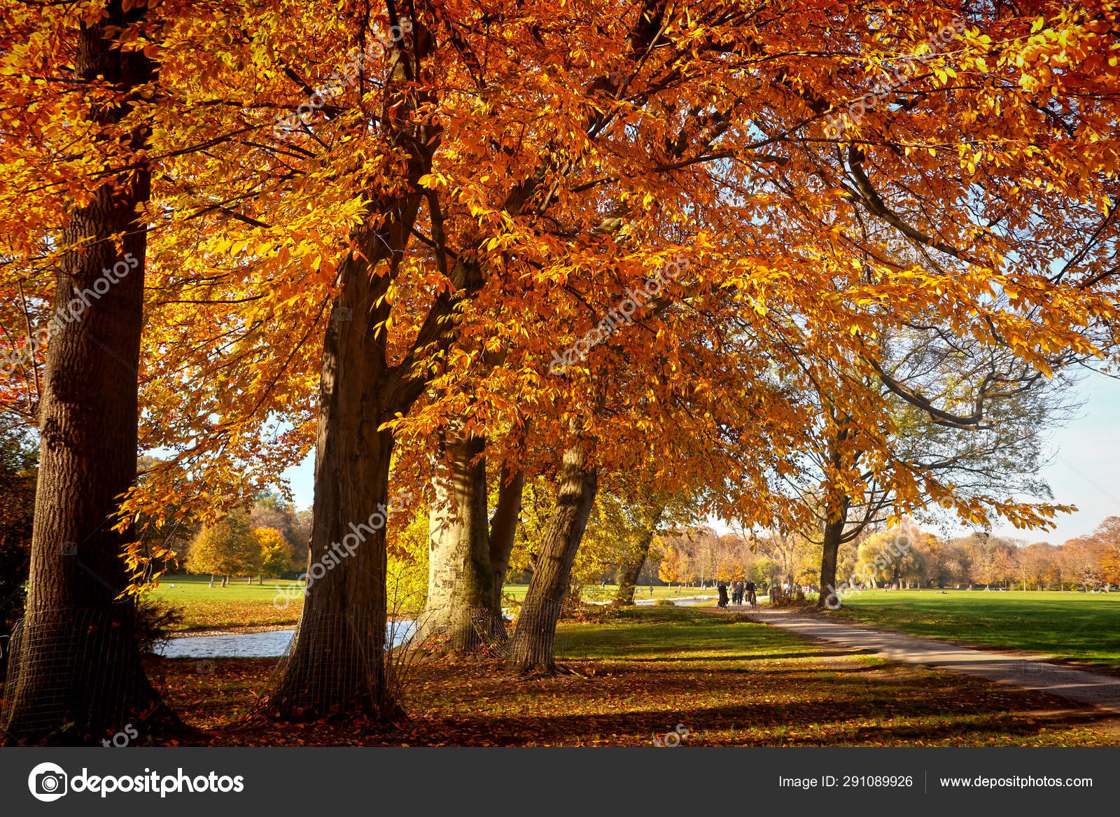 Beautiful View Englischer Garten Munich Beautiful Autumnal Day Red