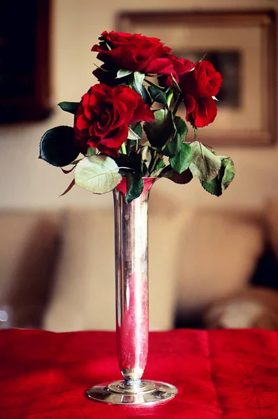Κόκκινα Τριαντάφυλλα Ασημένιο Βάζο Ακόμη Και Εσωτερικούς Χώρους Ζωής — Φωτογραφία Αρχείου