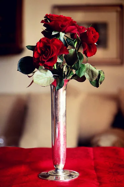 Rose Rosse Vaso Argento Interni Nature Morte — Foto Stock