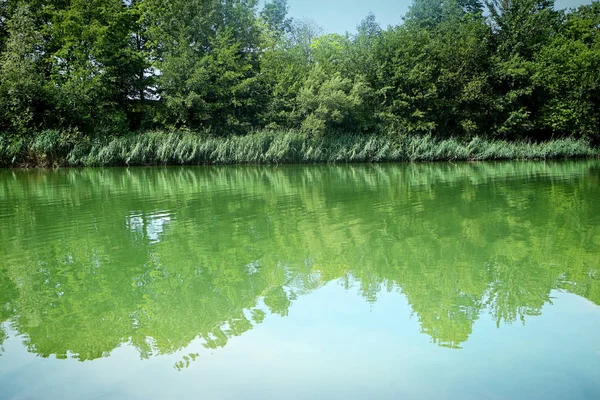 Garching Bayern Schöner Sommerblick Auf Das Ufer Des Garchinger Sees — Stockfoto