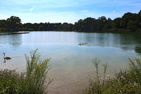 Garching Baviera Vista Panorâmica Verão Garchinger See Pequeno Lago Perto — Fotografia de Stock