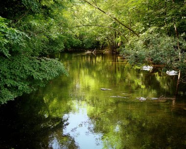Münih, Almanya - kanal, gökyüzü yansımaları ile bir kentsel parkta sakin suları ile