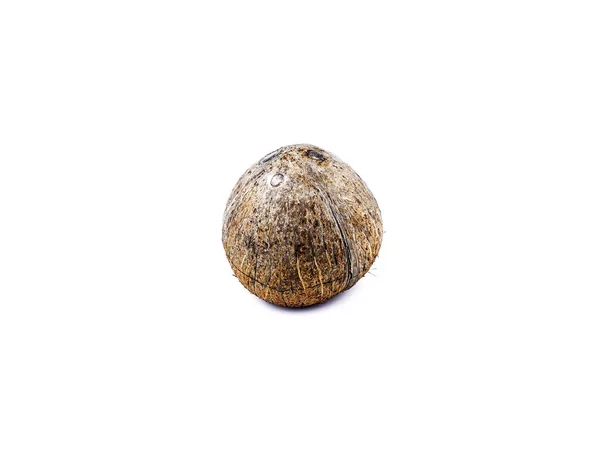 Coconut Isolated on White. — Stock Photo, Image