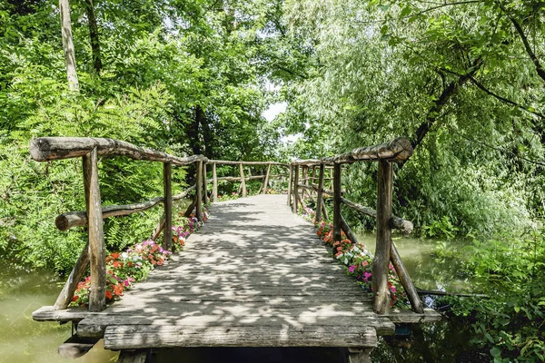 Hand made small romantic wooden bridge over the river water surrounded by trees and flowers leading to pier among river plants aged weathered wood made path walk pathway photo site danube river