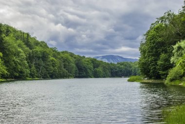 Ormanla çevrili dağ gölü