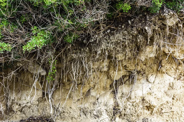 Cross section of pants and soil horizontal background