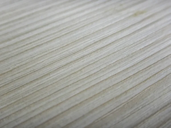 Wood white textured view
