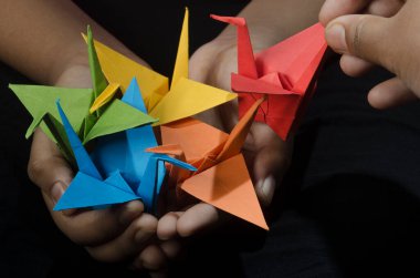 Elinde Origami Kâğıt Turna (kuşlar) olan genç kız bir dilek diler. Japon efsanesinden esinlenerek binlerce origami turna kuşu yaratana bir dilek hakkı verilecektir..