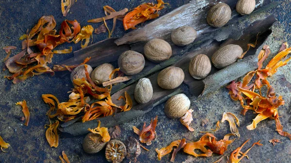 Spices Mace Nutmeg Displayed Artistic Manner — Stock Photo, Image