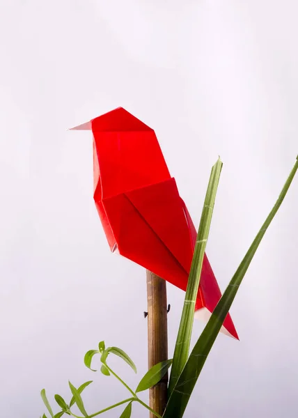 Kağıt Origami Kırmızı Kuş bir dalda