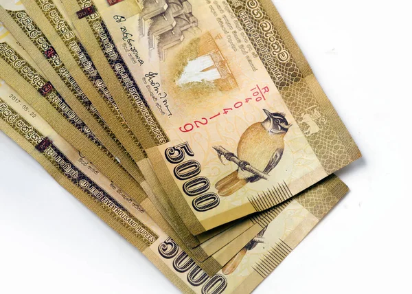 İzole edilmiş beyaz arka planda 5000 rupilik Sri Lanka banknotları. Kapat. 
