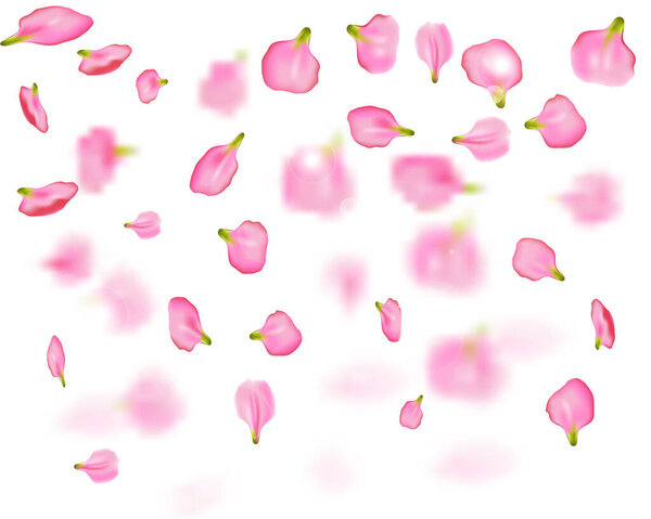 Background of Pink sakura falling petals. Backdrop for spring or summer design and cosmetics and Spa products. 3D romantic pattern. Vector illustration