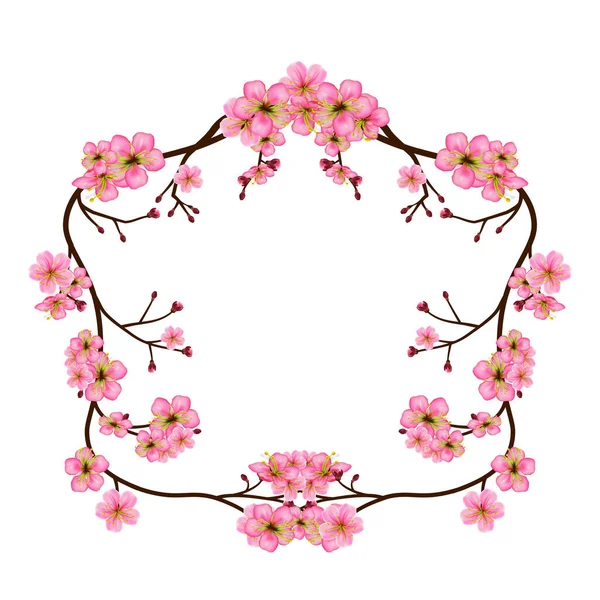 Wreath Cherry Blossom Branches Frame Flowers Buds Isolated Transparent Background — Stock Vector