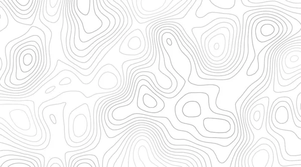 Modèle Carte Noir Blanc Avec Une Ligne Contour Topographique Abstraite — Image vectorielle