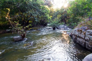 Wang Kwaai (Khway) Peuak Şelalesi At Omkoi, Chiang Mai, Tayland.