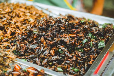Bangkok, Tayland 'daki Çin Mahallesi' nde Yaowarat Yolu 'nda kızarmış siyah kriket. Ünlü sokak yemekleri..
