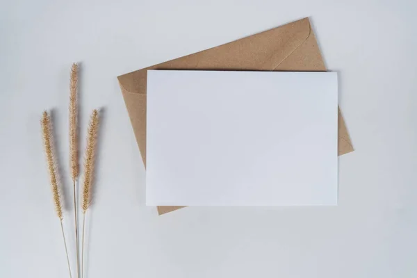 Blank White Paper Brown Paper Envelope Bristly Foxtail Dry Flower — Stock Photo, Image